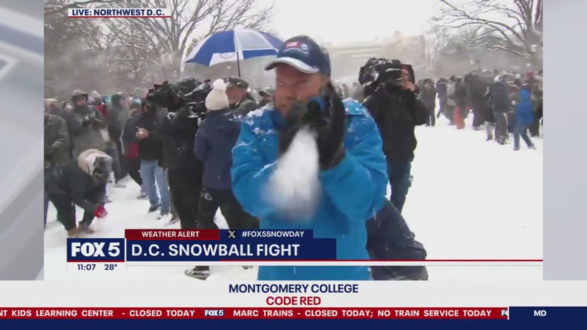 DC snow ball fight